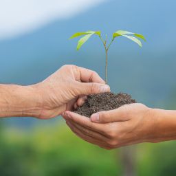 Lavori Pubblici, Manutenzione e Patrimonio