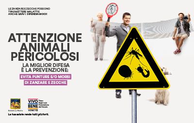 Malattie Infettive - Arbovirosi