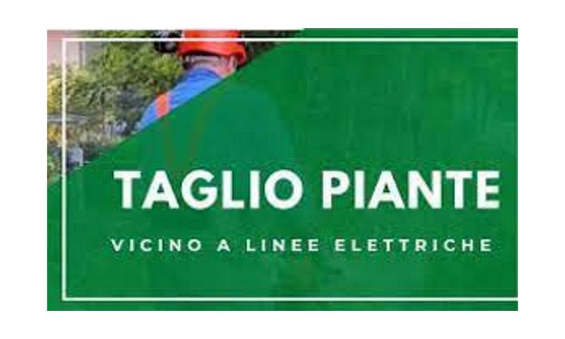 Taglio piante vicino alle linee elettriche