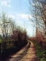 Le Rive sul Sentiero di Via Vallon