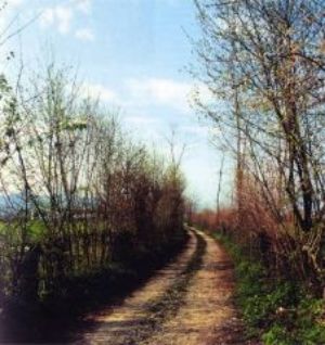 Le Rive sul Sentiero di Via Vallon